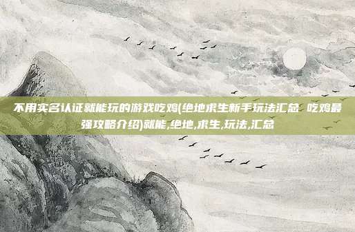 不用实名认证就能玩的游戏吃鸡(绝地求生新手玩法汇总 吃鸡最强攻略介绍)就能,绝地,求生,玩法,汇总