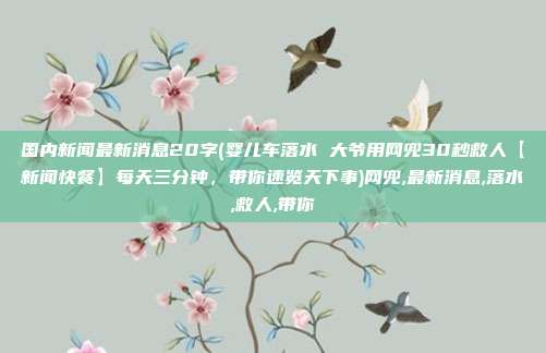 国内新闻最新消息20字(婴儿车落水 大爷用网兜30秒救人【新闻快餐】每天三分钟，带你速览天下事)网兜,最新消息,落水,救人,带你
