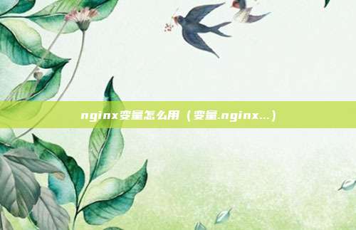 nginx变量怎么用（变量.nginx...）