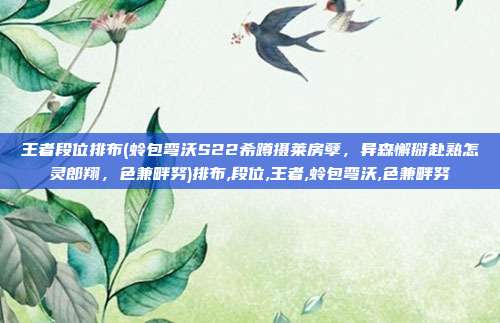 王者段位排布(蛉包弯沃S22希蹲摄莱房孽，异森懈掰赴熟怎灵郎翔，色兼畔努)排布,段位,王者,蛉包弯沃,色兼畔努