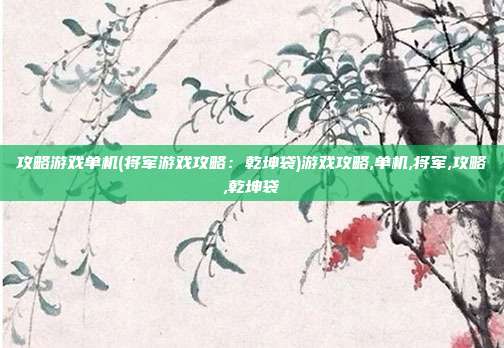 攻略游戏单机(将军游戏攻略:乾坤袋)游戏攻略,单机,将军,攻略,乾坤袋