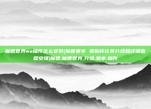 魔兽世界wa插件怎么安装(魔兽赛事 老板杯比赛分组和详细直播安排)魔兽,魔兽世界,分组,赛事,插件