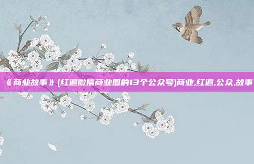 《商业故事》(红遍微信商业圈的13个公众号)商业,红遍,公众,故事