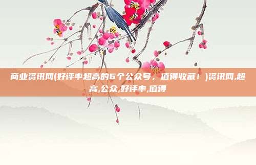 商业资讯网(好评率超高的6个公众号，值得收藏！)资讯网,超高,公众,好评率,值得