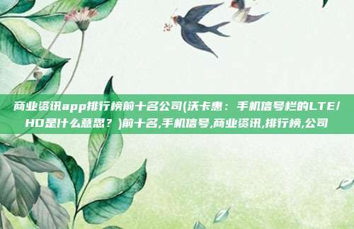 商业资讯app排行榜前十名公司(沃卡惠：手机信号栏的LTE/HD是什么意思？)前十名,手机信号,商业资讯,排行榜,公司