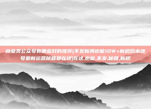 商业类公众号有哪些好的推荐(不发新闻也能10W+新规后本地号最新运营秘籍都在这)在这,也能,不发,秘籍,新规