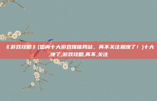 《游戏攻略》(国内十大游戏媒体网站，再不关注就晚了！)十大,晚了,游戏攻略,再不,关注