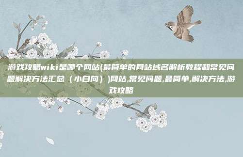 游戏攻略wiki是哪个网站(最简单的网站域名解析教程和常见问题解决方法汇总（小白向）)网站,常见问题,最简单,解决方法,游戏攻略