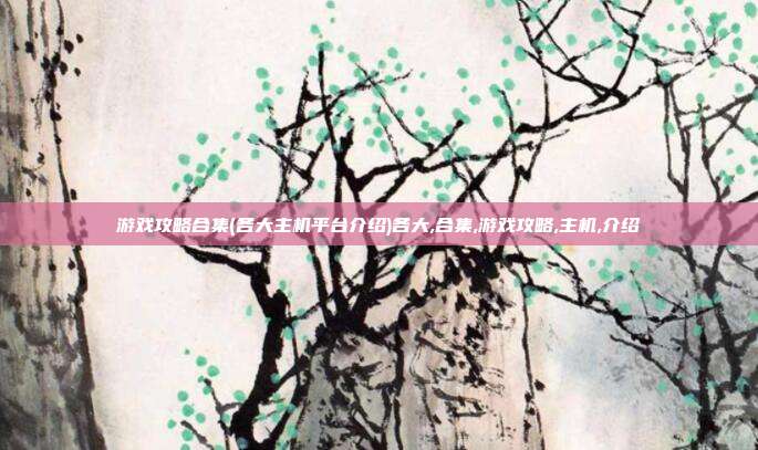 游戏攻略合集(各大主机平台介绍)各大,合集,游戏攻略,主机,介绍