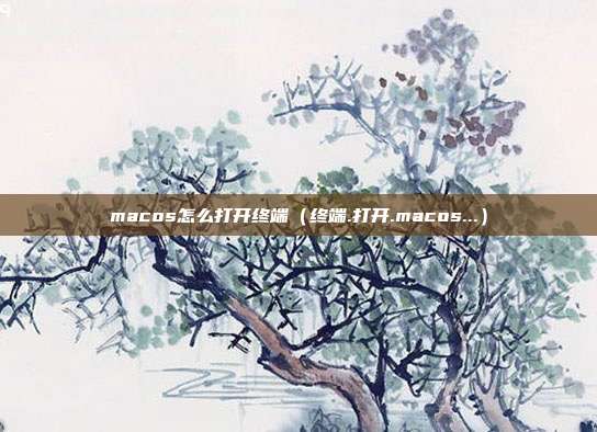 macos怎么打开终端（终端.打开.macos...）