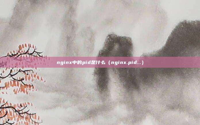 nginx中的pid是什么（nginx.pid...）