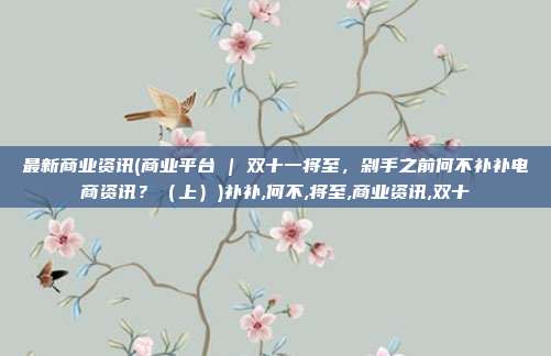 最新商业资讯(商业平台 | 双十一将至，剁手之前何不补补电商资讯？（上）)补补,何不,将至,商业资讯,双十