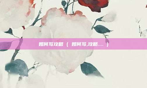 如何写攻略 ( 如何写,攻略.... )