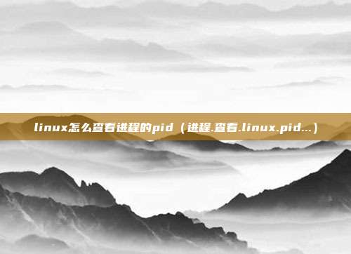 linux怎么查看进程的pid（进程.查看.linux.pid...）