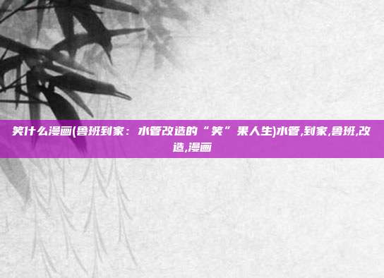 笑什么漫画(鲁班到家：水管改造的“笑”果人生)水管,到家,鲁班,改造,漫画