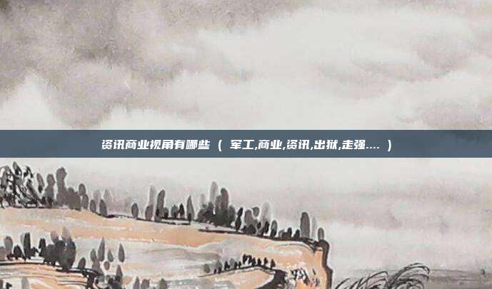 资讯商业视角有哪些 ( 军工,商业,资讯,出狱,走强.... )