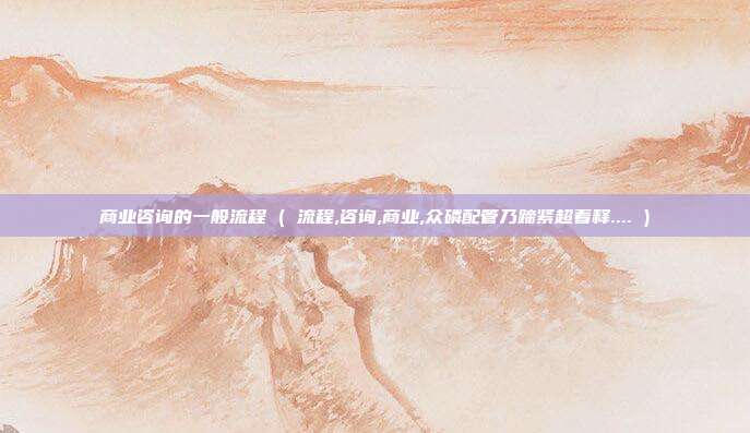 商业咨询的一般流程 ( 流程,咨询,商业,众磷配管乃蹄紧超着释.... )