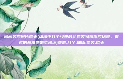 漫画笑的图片唯美(动漫中几个经典的让你笑到抽搐的场景，看过的基本都是老漫迷)都是,几个,抽搐,你笑,唯美