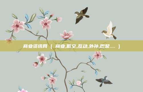 商业资讯网 ( 商业,低空,互动,外孙,巴黎.... )
