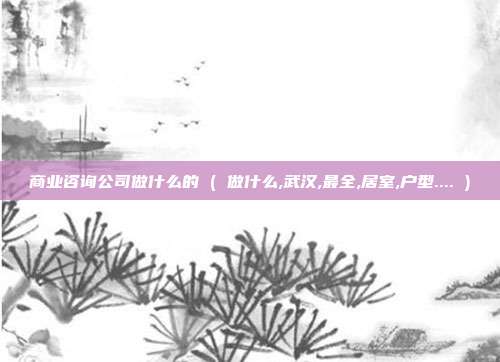 商业咨询公司做什么的 ( 做什么,武汉,最全,居室,户型.... )