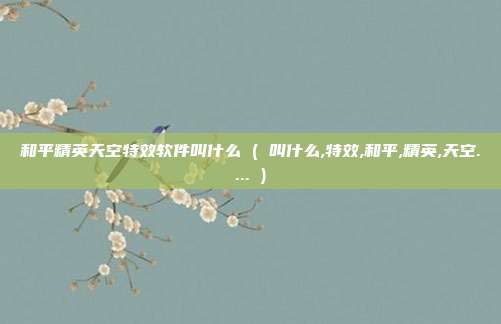 和平精英天空特效软件叫什么 ( 叫什么,特效,和平,精英,天空.... )