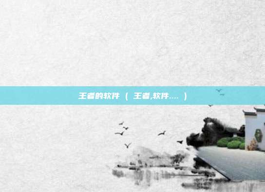 王者的软件 ( 王者,软件.... )