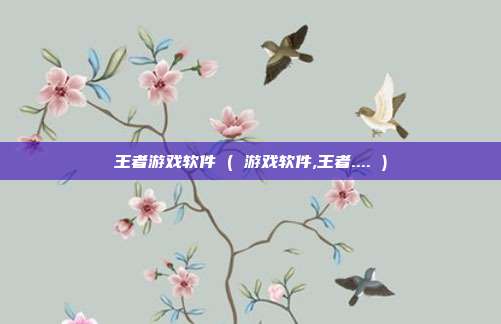 王者游戏软件 ( 游戏软件,王者.... )