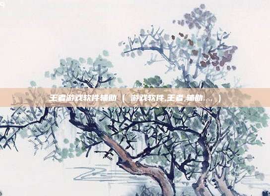 王者游戏软件辅助 ( 游戏软件,王者,辅助.... )