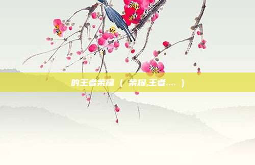 的王者荣耀 ( 荣耀,王者.... )