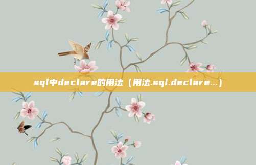 sql中declare的用法（用法.sql.declare...）