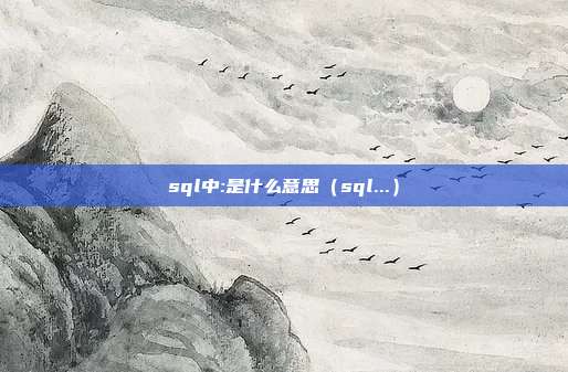 sql中:是什么意思（sql...）
