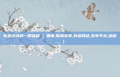 商业咨询的一般流程 ( 哪家,新闻发布,商业网站,发布平台,流程.... )