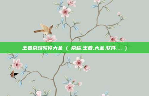 王者荣耀软件大全 ( 荣耀,王者,大全,软件.... )