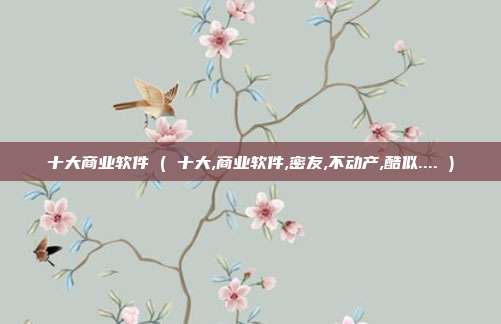 十大商业软件 ( 十大,商业软件,密友,不动产,酷似.... )