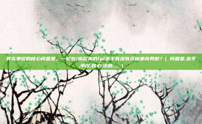 其实争议的核心问题是，一轮游/输欧美的lpl选手有没有资格坐商务舱？( 问题是,选手,争议,核心,资格.... )
