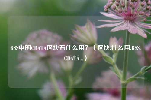 RSS中的CDATA区块有什么用？（区块.什么用.RSS.CDATA...）