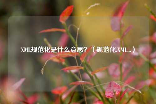 XML规范化是什么意思？（规范化.XML...）